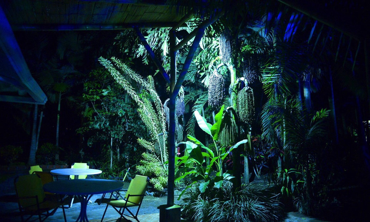 Santagueda House | A fully furnished house with lush vegetation and a hot tub for 12 people with warm water