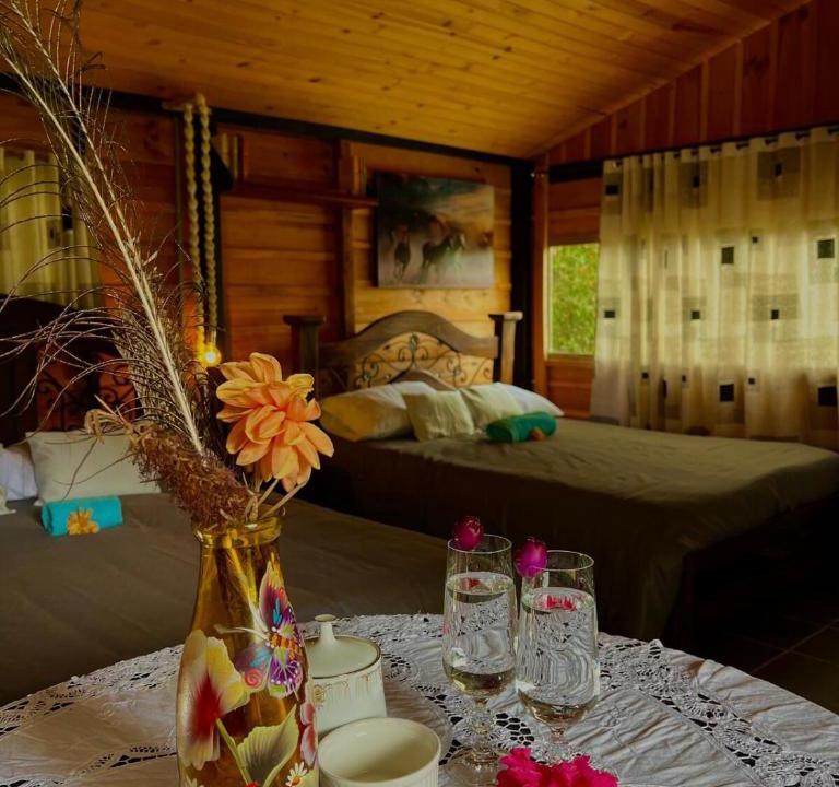 Jenesano Ski Chalet | Ana Cereza Chalet