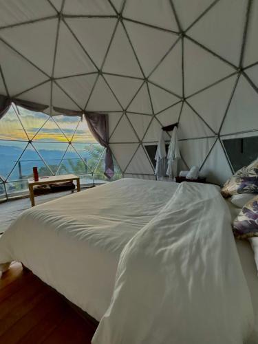 La Pena Other | Andino Glamping