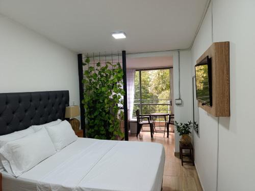 La Florida Apartment | Apartahotel Provenza II