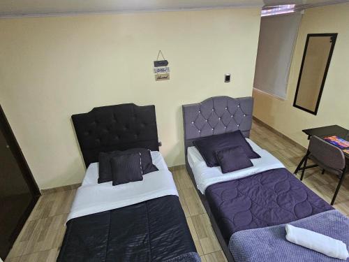 Campin Bed & Breakfast | Apartasuite Movistar Campin
