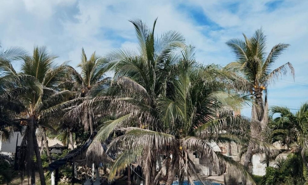 Puerto Colombia Hostel | Azul príncipe