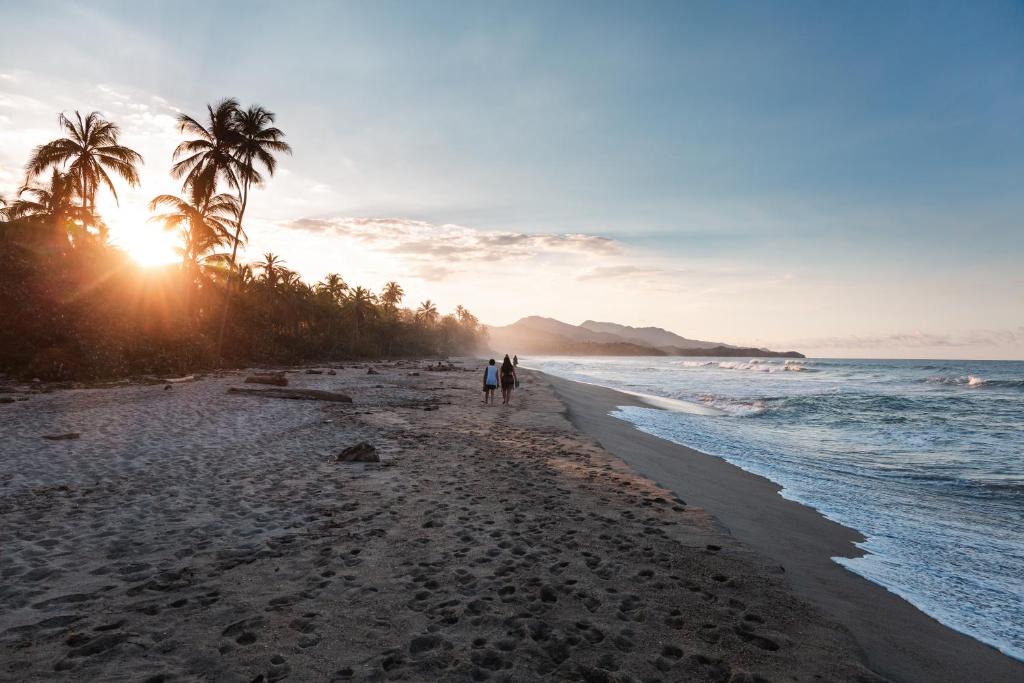 Guachaca Hostel | Bohemia Beach Tayrona