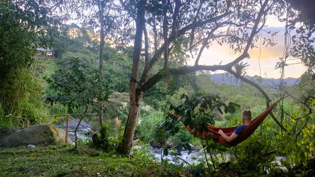 San Francisco Other | Bosque y río - Zona de camping en San francisco