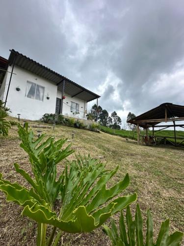 Santa Rosa de Cabal Ski Chalet | Cabaña privada cerca a termales San Vicente