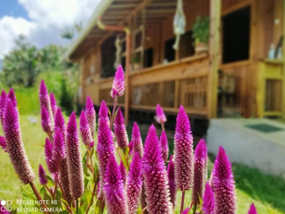 Jardin Ski Chalet | Cabañas Villa Juliana