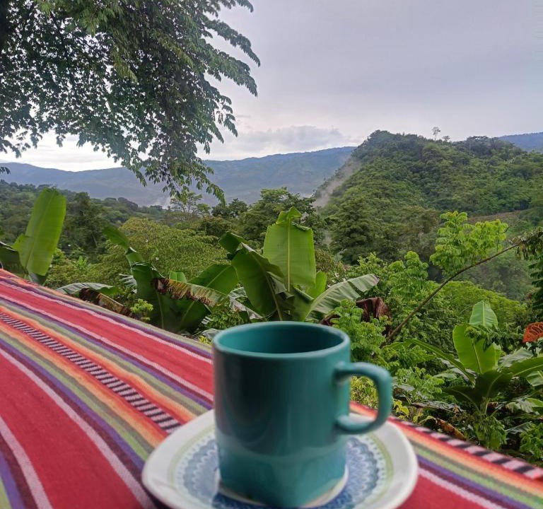 La Mesa Apartment | Capibara-Glamping Cabaña