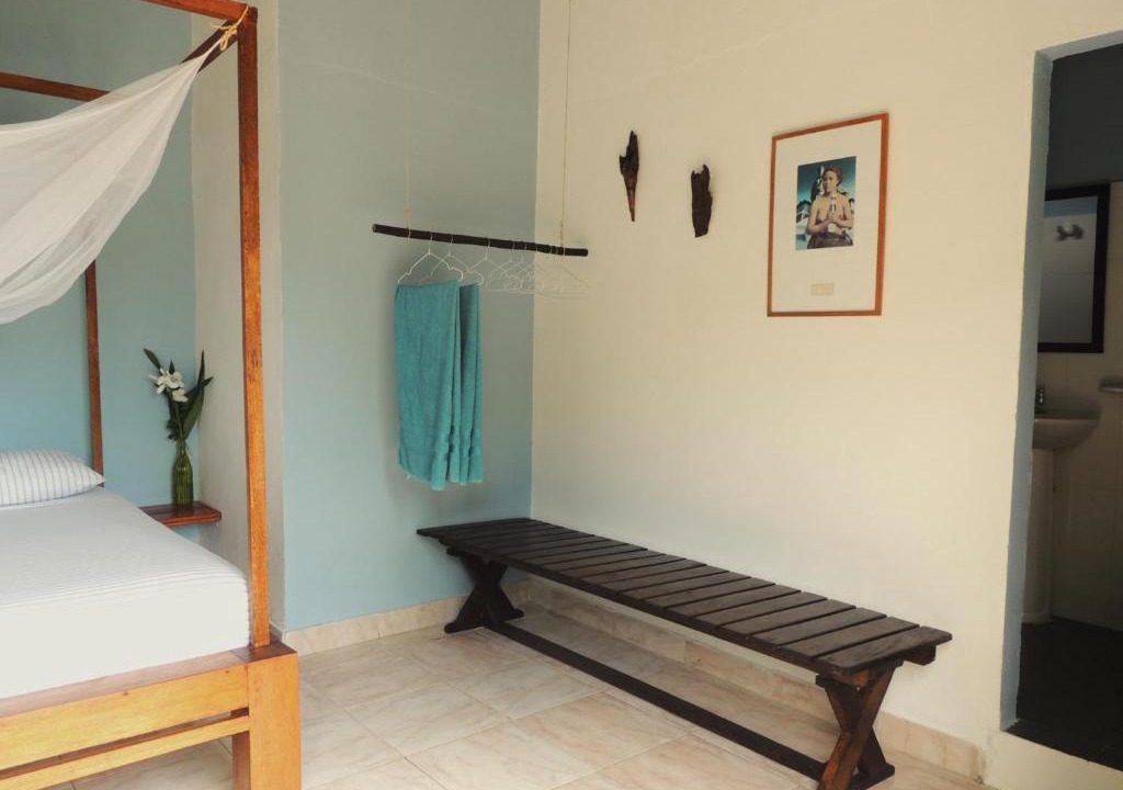 Palomino House | Casa Alibri - Nature Guesthouse