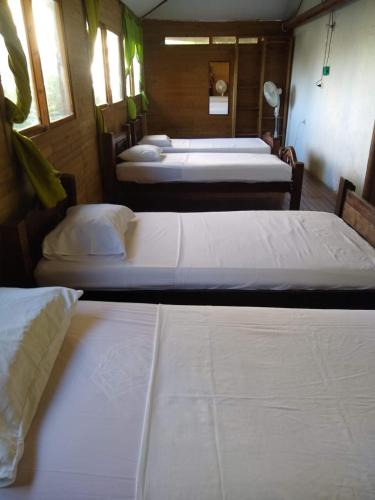 Papare House | Casa Hotel Marly