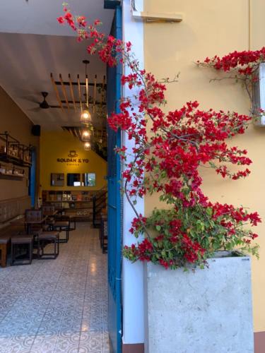 Roldanillo Hotel | Cocli Hotel Roldanillo