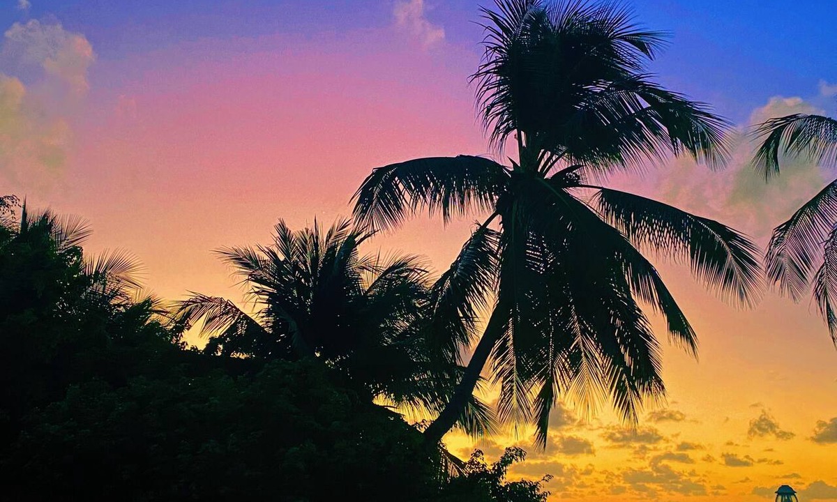 San Luis Hotel | Cocoplum Beach Hotel