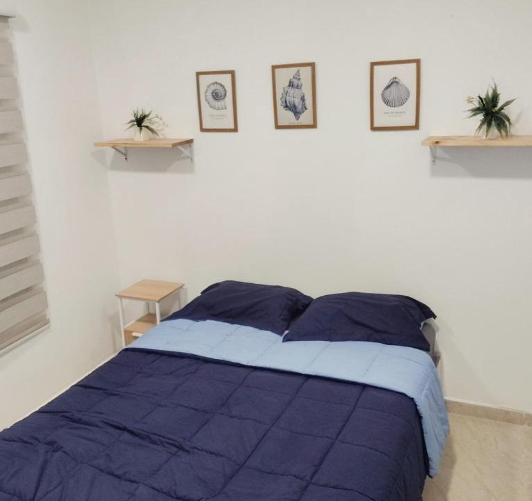 Papare House | Coliving Ayapel