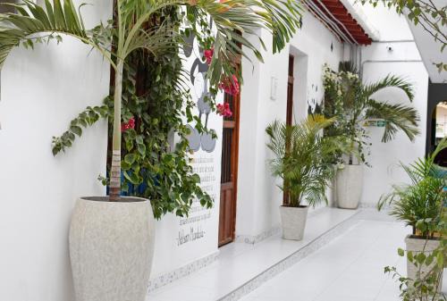Barrio Centro Hotel | Comunidad Calle 13 Hotel Boutique