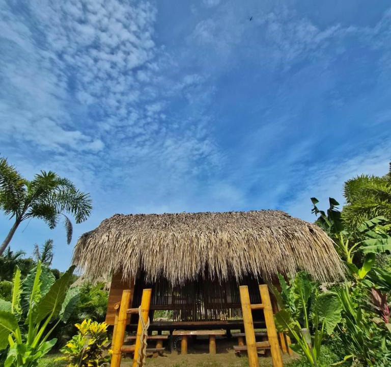 Palomino Bed & Breakfast | Dos Peladas Hostal