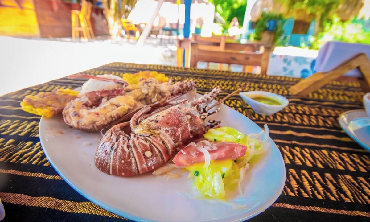 Rosario Islands Hotel | Eco-friendly hotels in the Rosario Islands 🌴 By the sea – near the Oceanarium