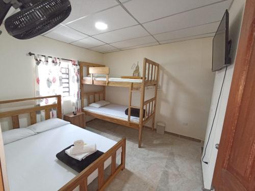 Armenia House | Ekolores Hostal - PARQUE DEL CAFÉ - 313-468-08-41
