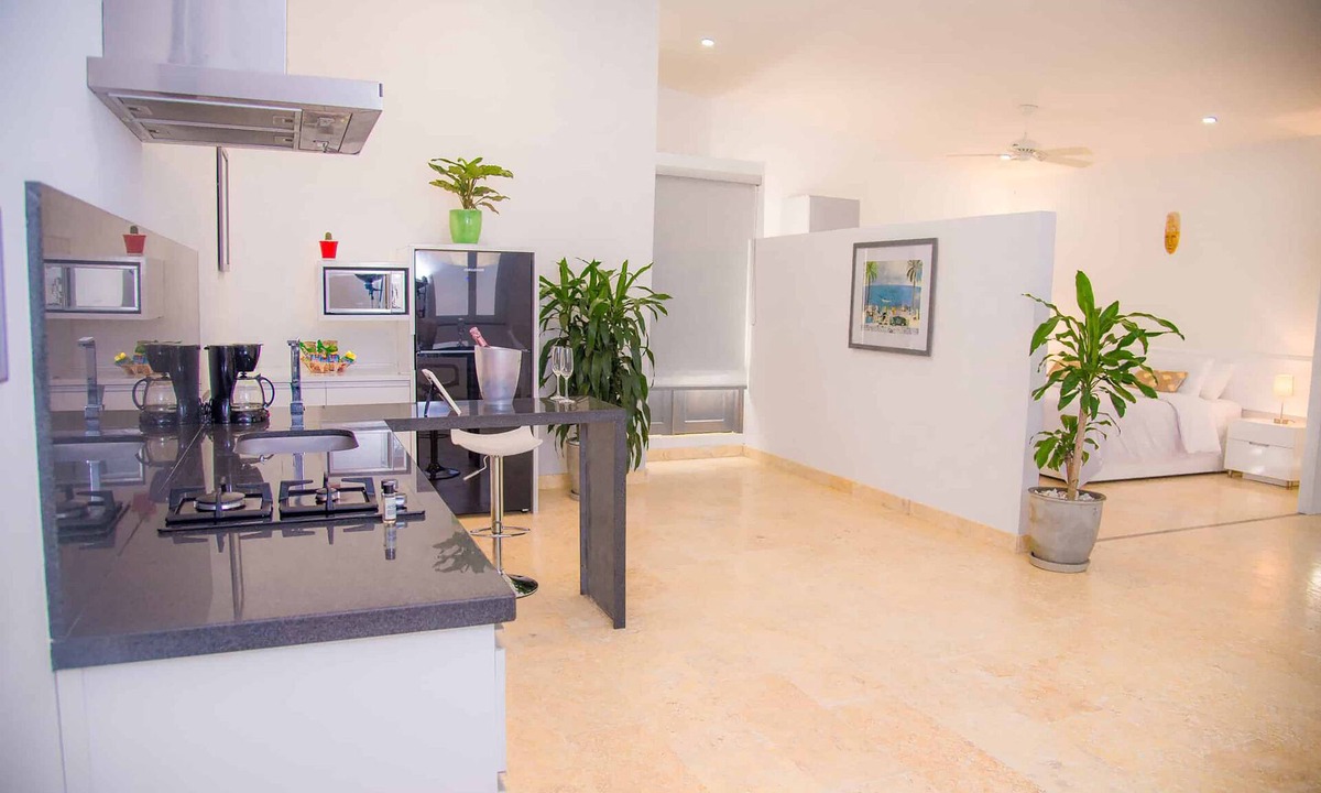 Barrio Centro Apartment | El Cactus Luxury Apartments in Historic Center