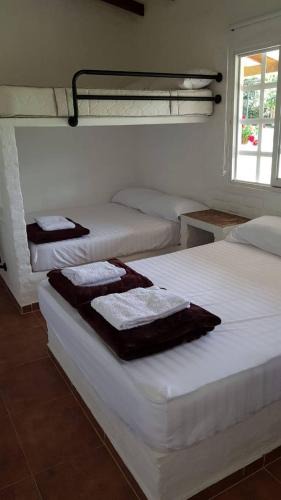 Dagua House | El Guadual del Eden - Tourism Registry - 48044