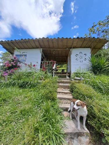 San Carlos House | Familia Verde Eco Hostal