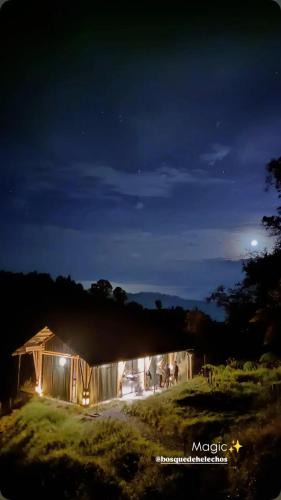 Manizales Apartment | Glamping Bosque de helechos, privacidad y cercanía