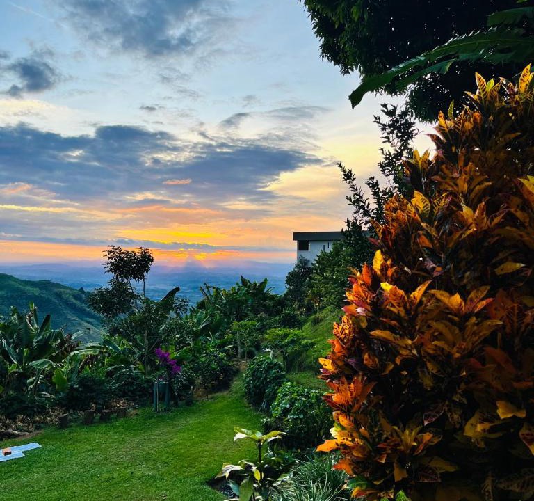 Buenavista Other | Glamping Jalisco