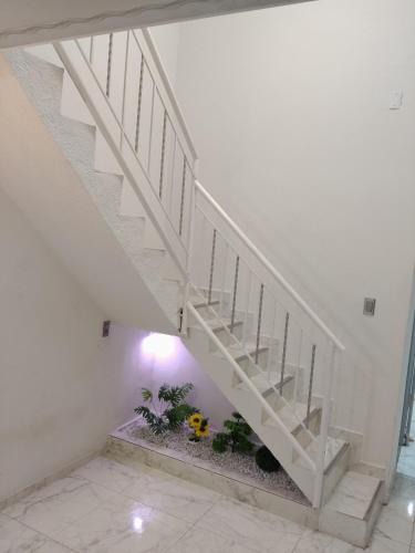 Soledad Apartment | Hermoso apartamento