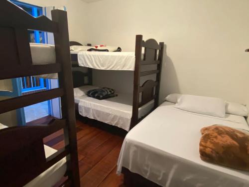 Salento Hostel | Hostal Bosque de Niebla