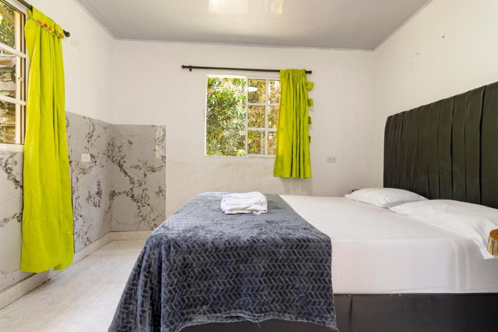 Palomino House | Hostal Casa del Rio