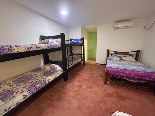 Taganga House | Hostal Mafelo Taganga