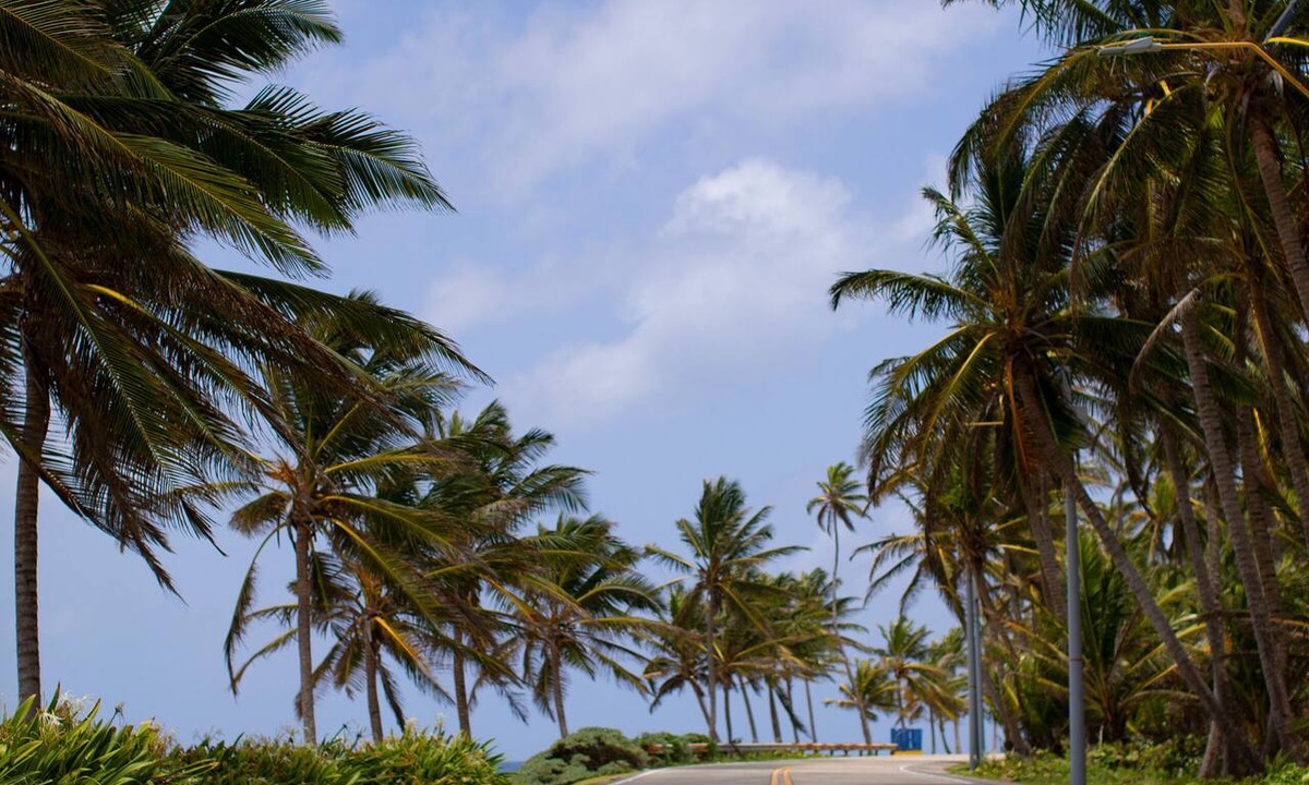 Punta Sur Hotel | Hosteria Mar y Sol