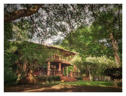 Acandi Hotel | Hotel Ceiba Bonga