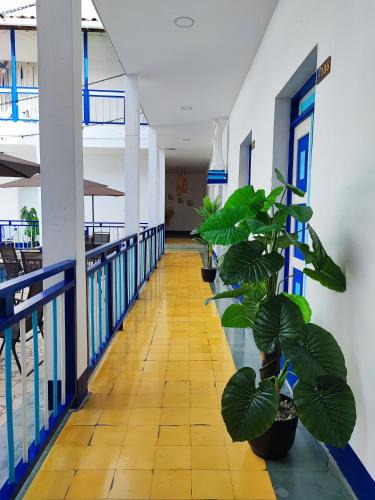San Roque Hotel | Hotel Colonial San Roque