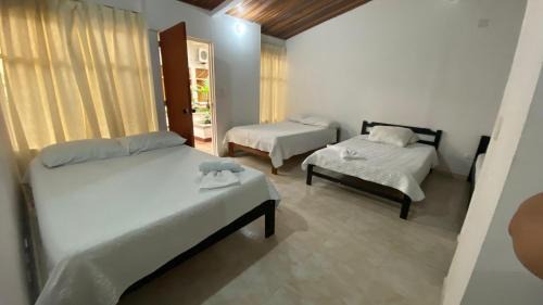 Tame Hotel | Hotel Tame Real