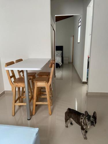 Jardin Apartment | Las Flores de Mria 304