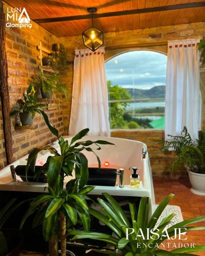 Aquitania Other | Luna Mia Glamping