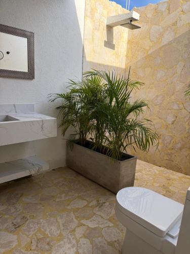 Tolu Hotel | Luxury Suite frente de Mar Piscina Restaurante y Bar