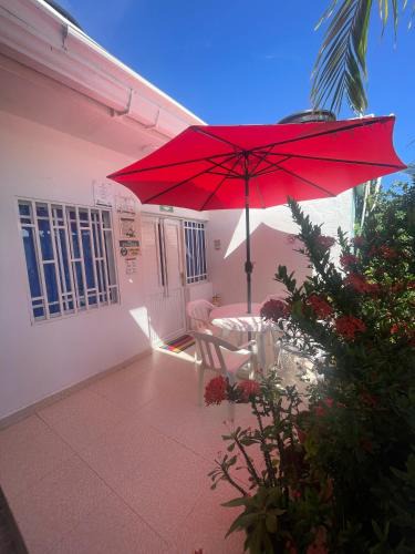 Punta Sur Apartment | Miss Margaritas´s House