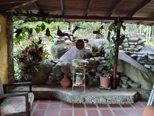 San Rafael Hotel | Naturilandia
