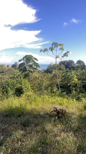 Uramba National Park House | Pacific Dream Eco-Hostal