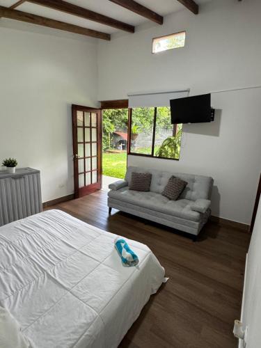 Palmira House | Paisaje natural padel
