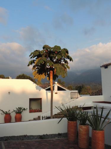Arcabuco House | PASSADHI Ayurveda & Yoga Retreat