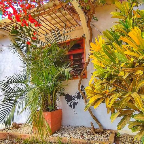 Palomino Hotel | Posada Gallinas