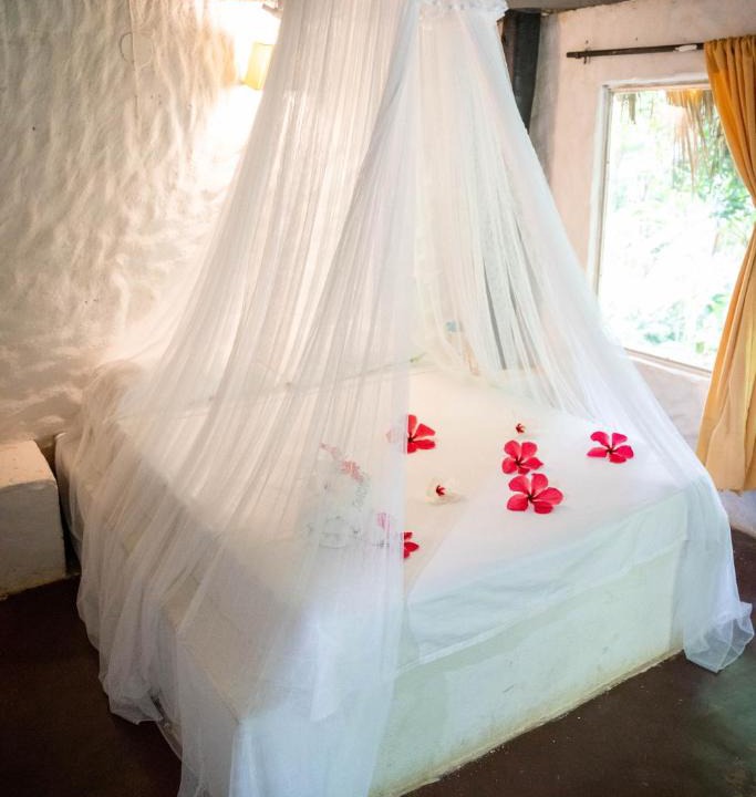 Don Diego Hotel | Taironaka Eco Hotel