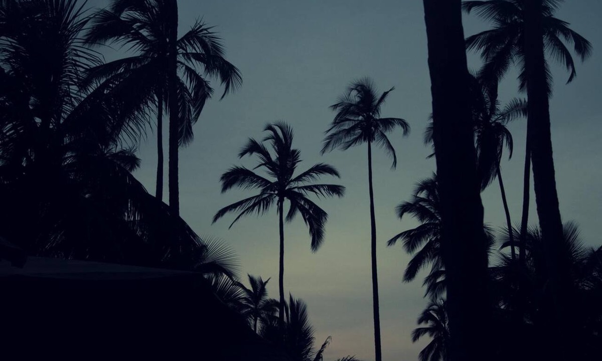 Guachaca Hotel | Tayrona Tented Lodge