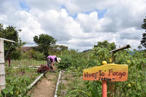 San Agustin Hotel | Tierra Activa Alojamiento Eco Rural finca orgánica y agroturística