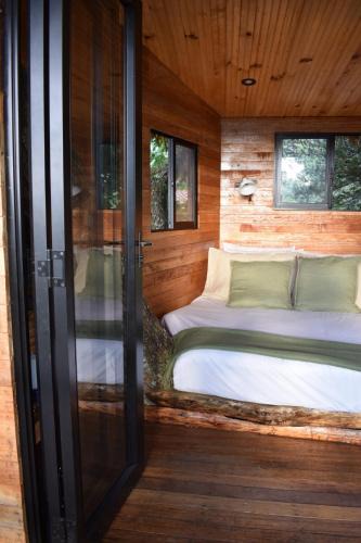 El Cerrito House | Treehouse