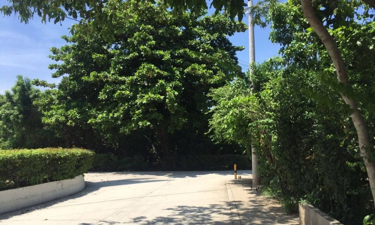 Historic Center Apartment | Yuly's Apartment Near the Beach in the Bello Horizonte Neighborhood of Santa Marta