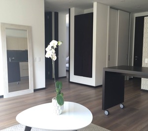 Loft Parque 