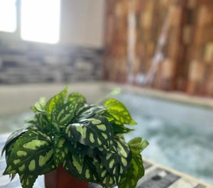 Cabaña Santorini Colombiano 
