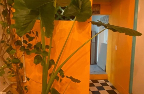 Cartagena Walled City House | 4cr-1M 4 Bedroom House In Getsemani With Air Conditioning And WIFI
